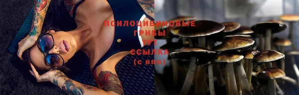 ешки Кукмор