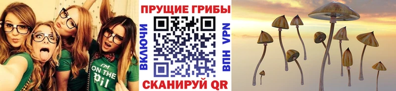 Псилоцибиновые грибы ЛСД  Сатка 
