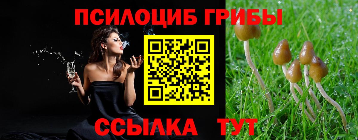 Галлюциногенные грибы Psilocybine cubensis  Сатка 