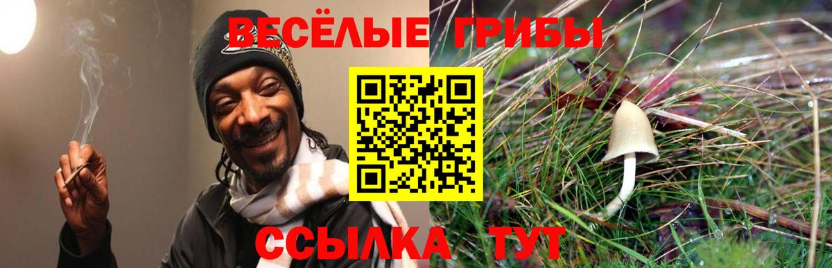 Псилоцибиновые грибы Cubensis  Галлюциногенные грибы Psilocybine cubensis  Сатка  Вход с VPN 